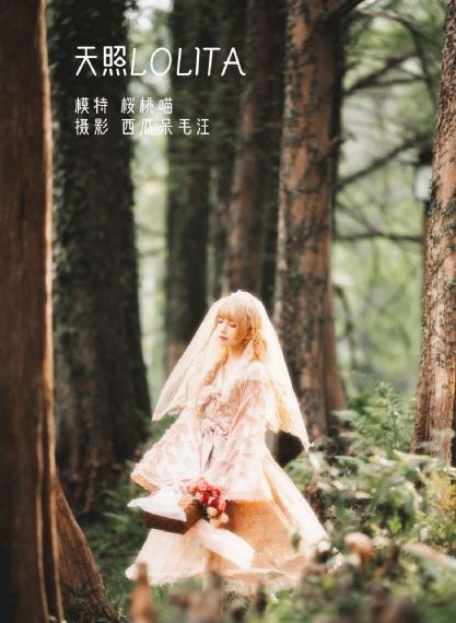 亚洲区自拍区_1080P免费观看电视剧
